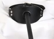 Gag Harness with Airway Gag